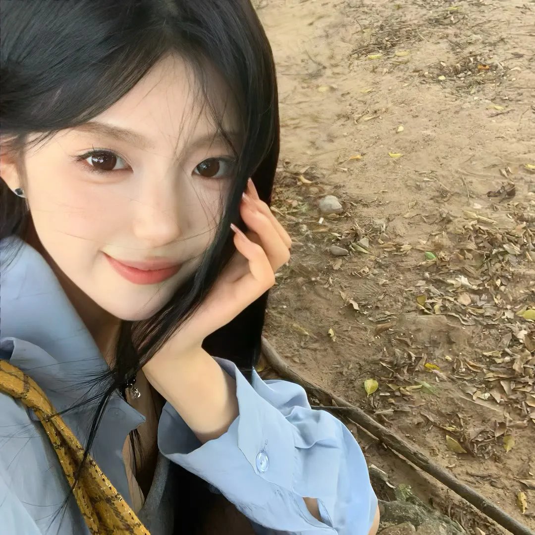 灵狐