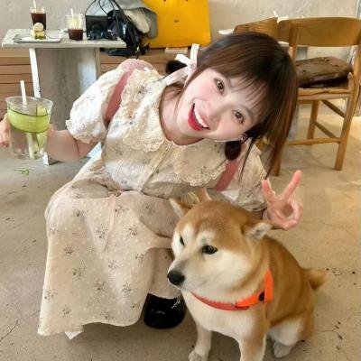 陷阱:致命的诱惑